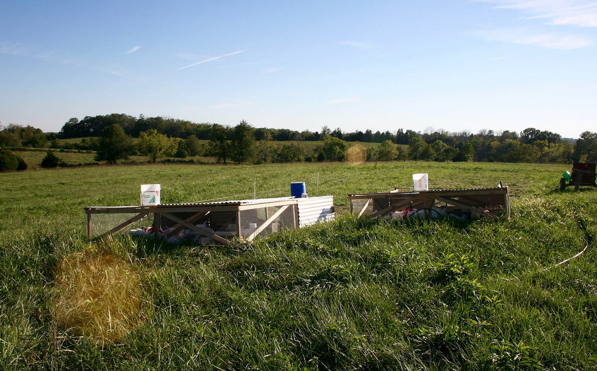 Faul Family Riverside Farm