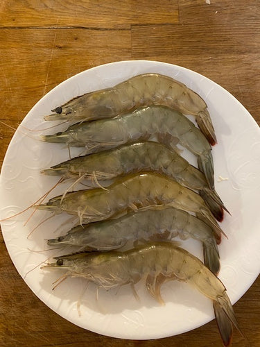 Frozen Saltwater Shrimp