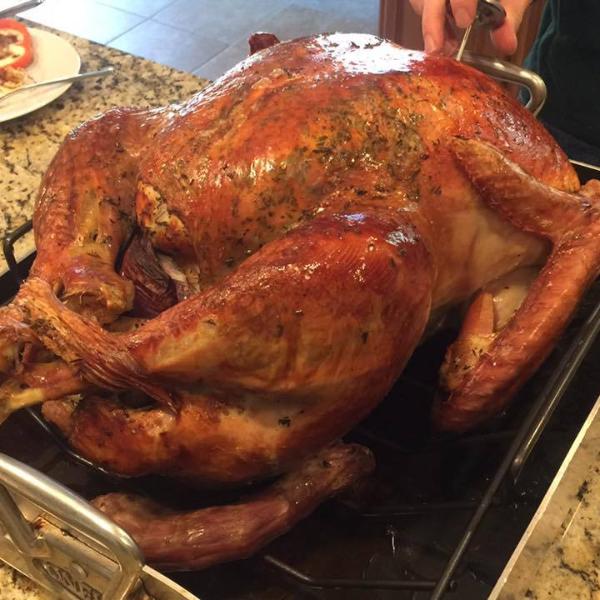 Pasture-Raised Whole Thanksgiving Turkey **Deposit Only**